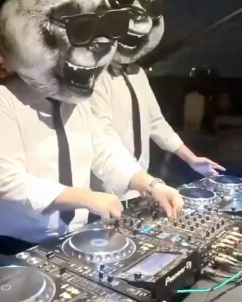 Suit & Panda Redroom_blr Edition 1
